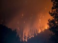 العرب اليوم - حرائق الغابات في دول البحر المتوسط تقتل أكثر من 40 شخصًا وتُجبر الدول على إجلاء الآلاف