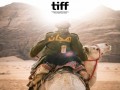  العرب اليوم - فيلم "هجان" يعود لدور السينما السعودية تزامنًا مع "اليوم العالمي للإبل"