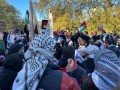 العرب اليوم - مظاهرات في مدن أميركية دعماً لفلسطين ورفضاً للعدوان الإسرائيلي على غزة