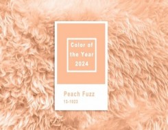  العرب اليوم - "بانتون" تختار الوردي البرتقالي لونًا للعام 2024 في الديكور