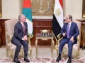  العرب اليوم - مباحثات بين الرئيس السيسي والعاهل الأردني لبحث جهود وقف إطلاق النار في غزة