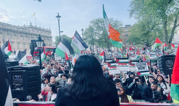 مظاهرة مؤيدة لفلسطين تغلق طريق حفل الأوسكار في لوس أنجلوس احتجاجًا على العدوان الإسرائيلي