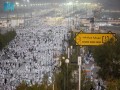  العرب اليوم - ضيوف الرحمن يؤدون ركن الحج الأعظم على عرفات وأكثر من 1.8 مليون حاج إجمالي من شاركوا خلال هذا العام