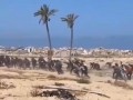  العرب اليوم - صرف 10% فقط من المساعدات الأميركية لغزة