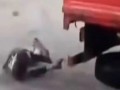  العرب اليوم - تقييد ثلاثة أشخاص بشاحنات وسحلهم يثير جدلًا واسعًا في مصر