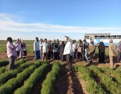  العرب اليوم - وزير الزراعة والري السوداني يؤكد أن بلاده تتعافى ولن تجوع في ظل مزارعي القضارف