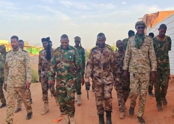 العرب اليوم - الجيش السوداني يستعيد منطقتين في النيل الأزرق وسط تصاعد المواجهات