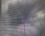 العرب اليوم -