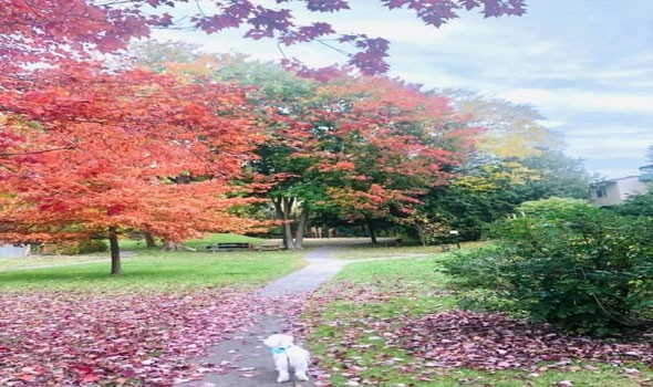 العرب اليوم - لماذا يثير الفن العظيم أو الموسيقى قشعريرة لدى بعضنا