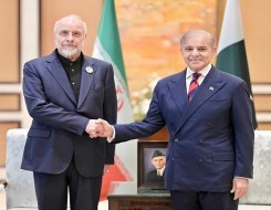 العرب اليوم - وزير الدفاع الأمريكي يشيد بدور باكستان في دعم الاستقرار الإقليمي