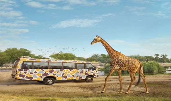  العرب اليوم - دبي سفاري بارك عضوًا في الرابطة العالمية لحدائق الحيوان والأحواض المائية WAZA