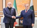 العرب اليوم - وزير الدفاع الأمريكي يشيد بدور باكستان في دعم الاستقرار الإقليمي