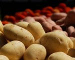 العرب اليوم -