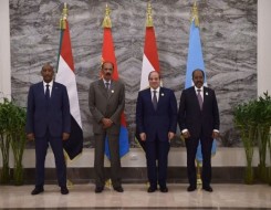  العرب اليوم - قمة رباعية في العلمين تؤكد أمن البحر الأحمر وترفض "الإجراءات الأحادية" في نهر النيل